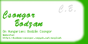 csongor bodzan business card