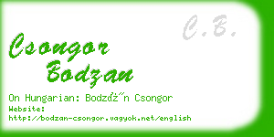 csongor bodzan business card